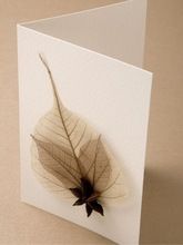 custom made natural skeleton leaf greeting cards