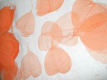 Skeleton Leaves in Natural and Plain Colors for Art and Crafts