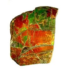 Ammolite raw rough natural stone uncut