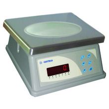 Stanless Steel Water Proof Scale