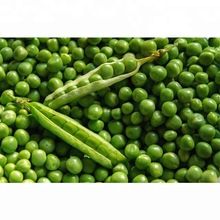 Fresh Peas