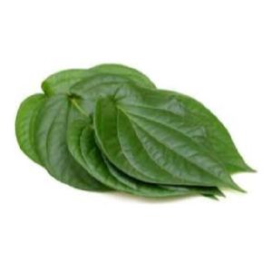 Natural Betel Leaf Oil