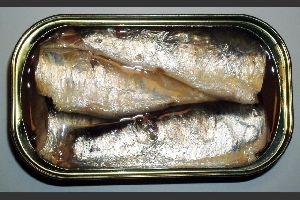 sardine canned usa morocco oil