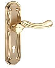 Coleus Brass Mortise Handle