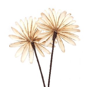 Sola Fuljuri Flowers