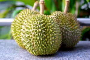 Fresh Durian