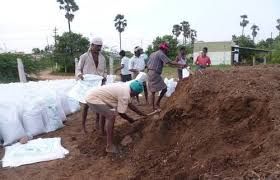ORGANIC COW DUNG COMPOST