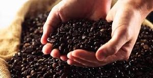 Brown Coffee Bean