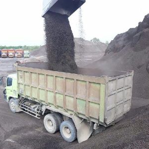 Palm Kernel Shell