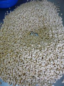 cashew kernel