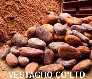 Cocoa Bean