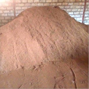 Coir Pith Powder