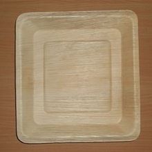 Areca leaf disposable plate