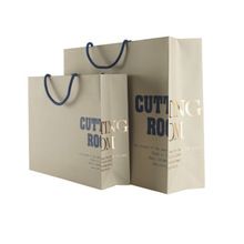 Promotional Paper Printed Bags
