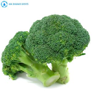 Conventional Broccoli Seed Oil