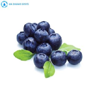 Skin Care Organic Blueberry Seed Oil