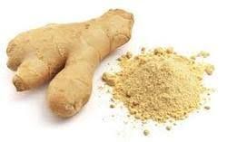 ginger dry extract