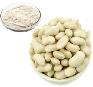 White Kidney Bean Extract