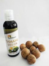 High quality Tamanu oil