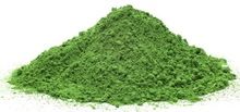Moringa oleifera Leaves Powder