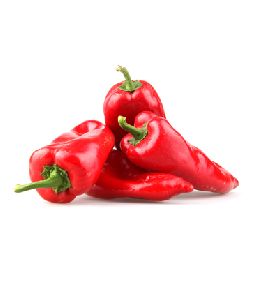 NATURAL COLOUR : PAPRIKA