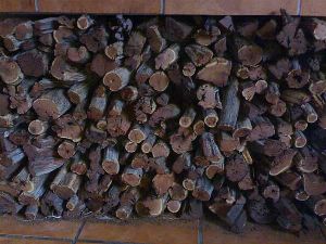 Dichrostachys cinerea firewood