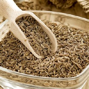 Indian Cumin Seed