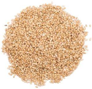 moringa oleifera seeds