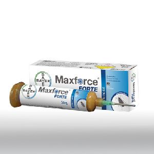 Maxforce Forte Insecticide