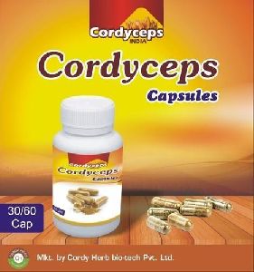Cordyceps Capsule
