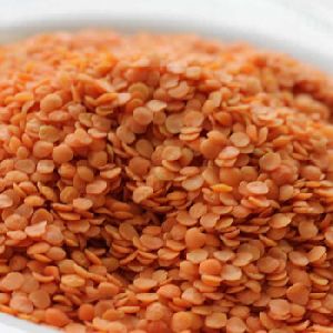 Dried red lentils
