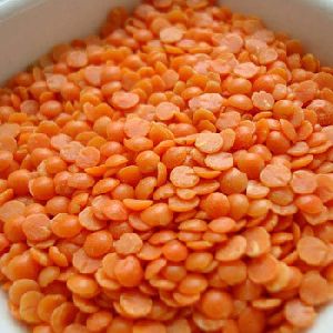 masoor dal red lentils