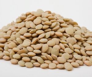 organic dried lentils