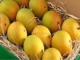 Rumani  Mango