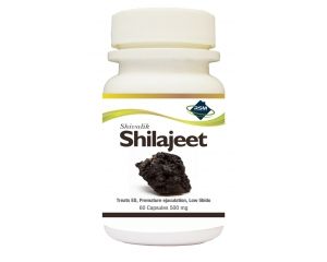 Shivalik Shilajeet Capsules