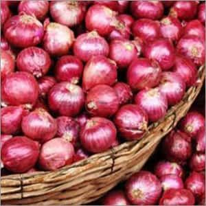 Fresh Small Red Onion