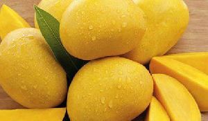 fresh alphonso mango