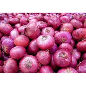 Fresh Pink Onion