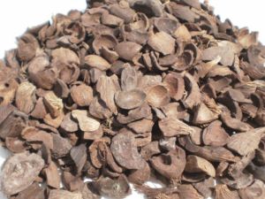 Palm Kernel Shell