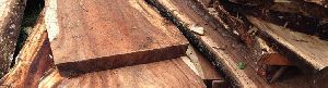 Tamarind Wood , puli Wood