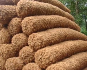 Coconut Coir Logs