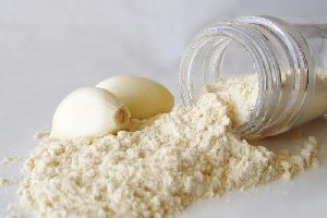 Garlic Flavored Powder