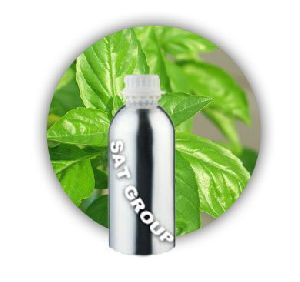 Basil Oil