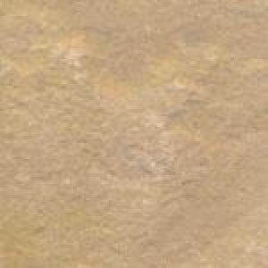 Camel Dust Sand stone