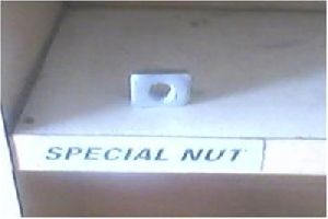 special nut