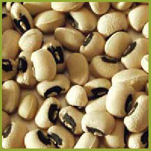 Black Eyed Beans