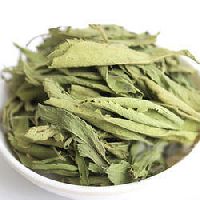 stevia leaf