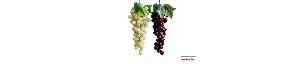 Home Decorative grapes