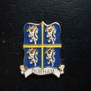Enamel Lapel Pins