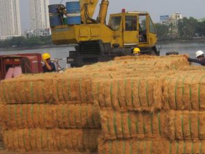 Coconut Fiber,  Texture : Soft